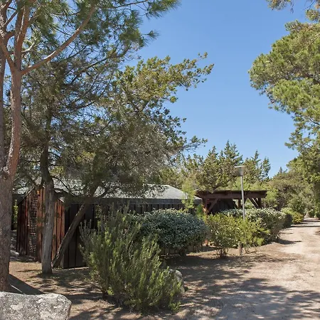 Mobydick Porto-Vecchio (Corsica)