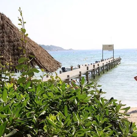 Mobydick Porto-Vecchio (Corsica)