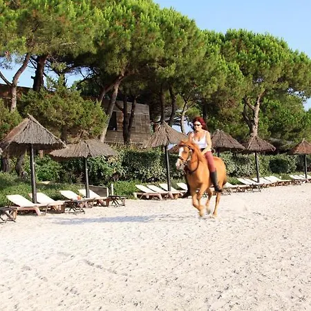 Mobydick Aparthotel 3*