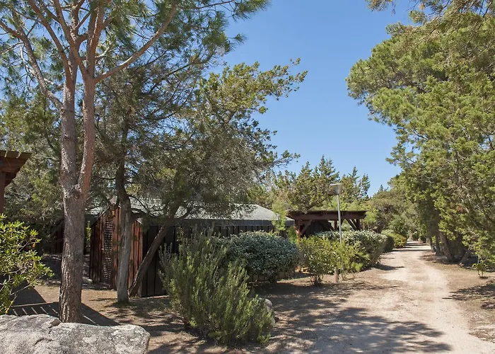 Mobydick Porto-Vecchio (Corsica)