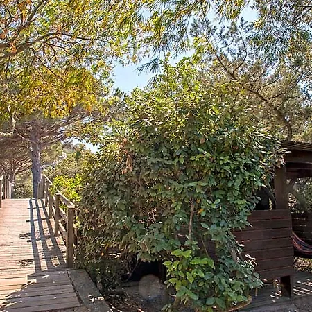 Moby Dick - Location Meublee Lejlighedshotel Porto-Vecchio (Corsica)