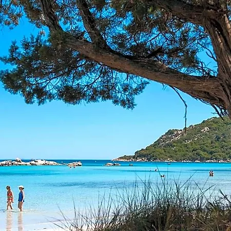 Moby Dick - Location Meublee Lejlighedshotel Porto-Vecchio (Corsica)