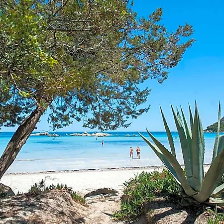 Moby Dick - Location Meublee 3* Porto-Vecchio (Corsica)