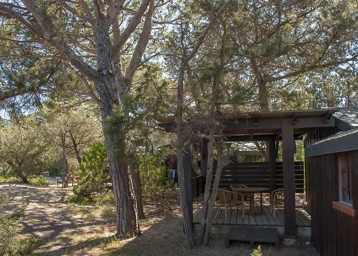 公寓式酒店 莫比迪克度假屋 维琪奥港