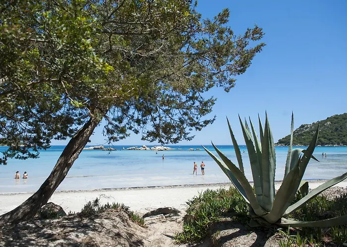 莫比迪克度假屋 3*