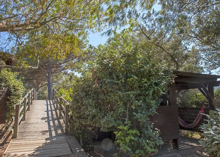 莫比迪克度假屋 3*